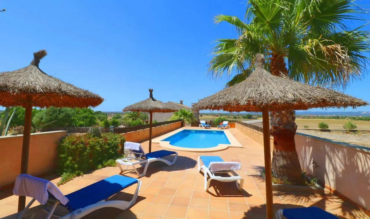 Alcoraia Villa Campos