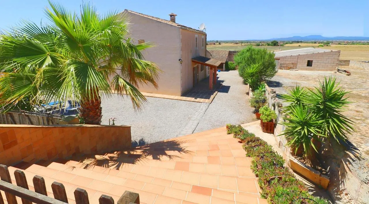 Alcoraia Villa Campos  Spain